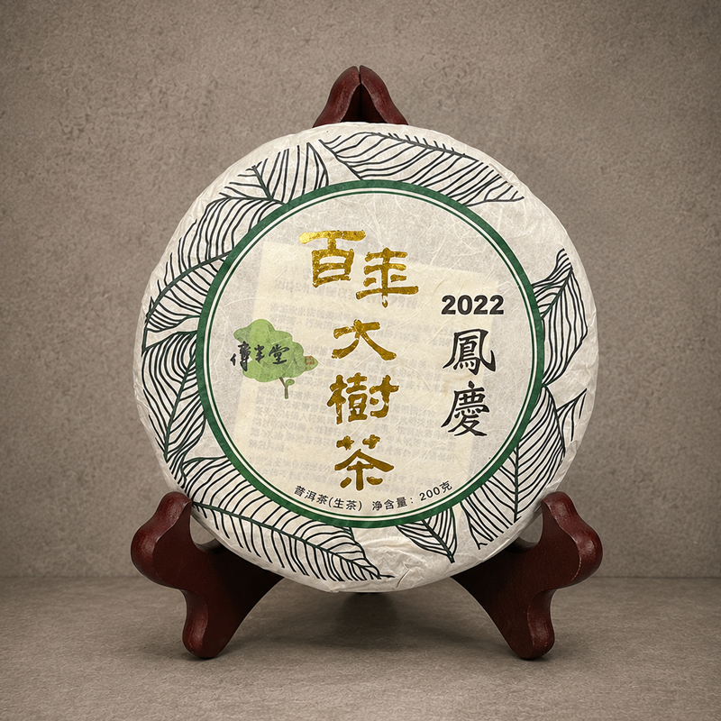 2022年 鳳慶百年大樹青餅